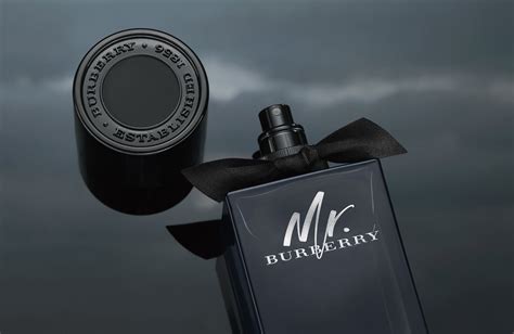 mr burberry snapchat|Burberry Debuts Mr. Burberry Men’s Fragrance, Grooming .